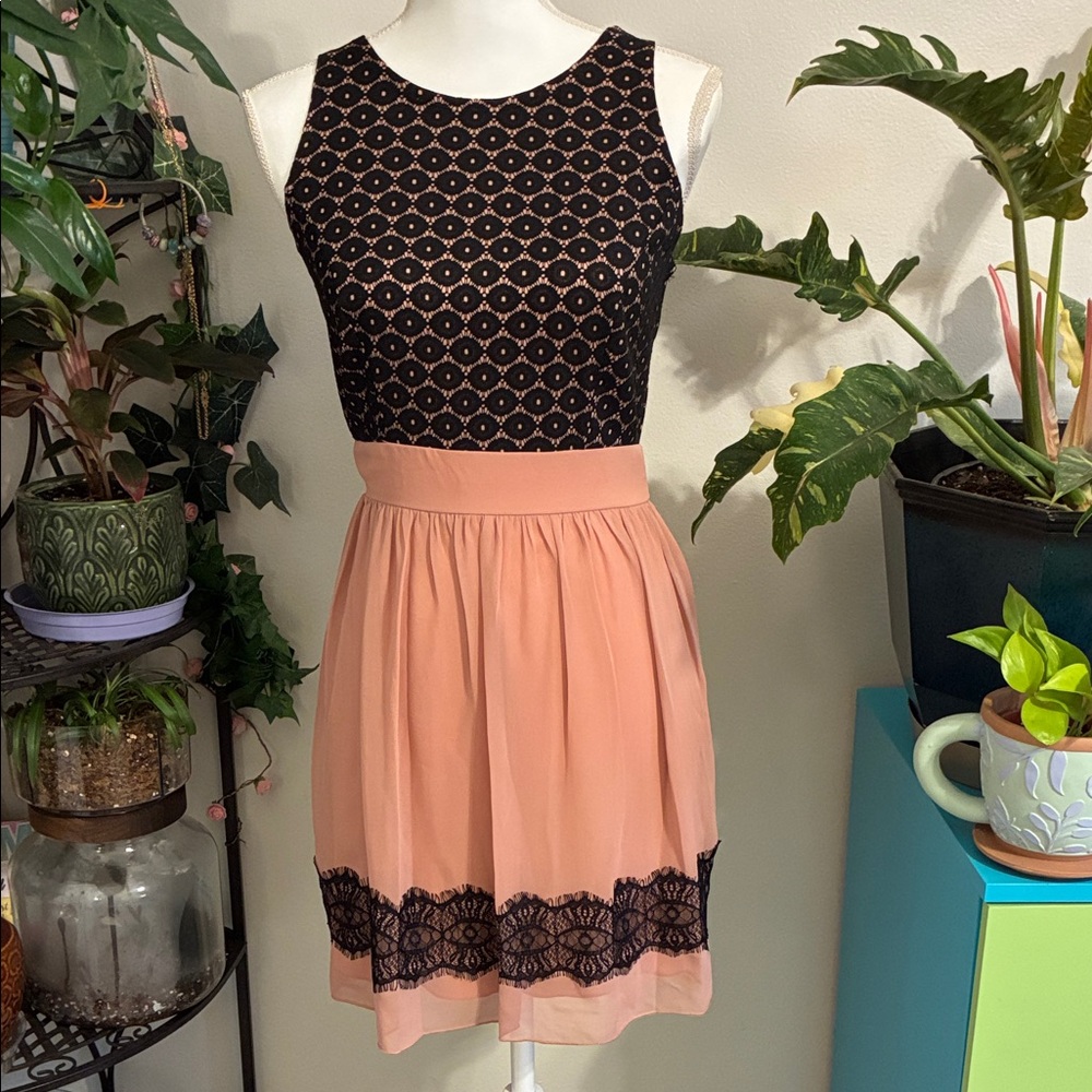 Sweet Storm Black and Pink Lace Mini Dress